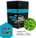 [TJPP01] Klean Freak Body Wipes - The Jug - Peppermint Image 