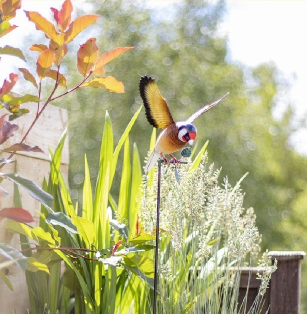 [55870] La Hacienda - Hanging Goldfinch Image 