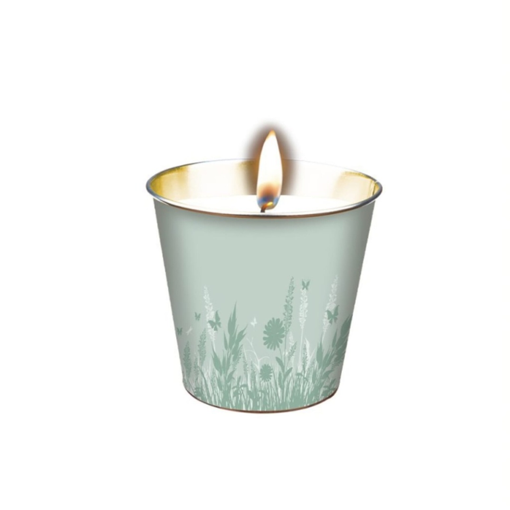 [ZER464] STV  Citronella Mini Candle Bucket - Close to home - Assorted Colours Image 