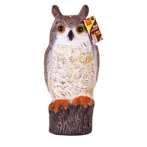 [STV966] STV  Owl